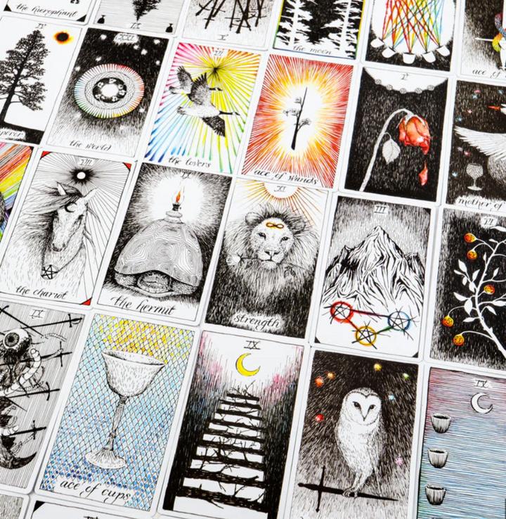 Buy The Wild Unknown Tarot