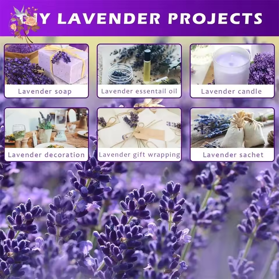 Lavender DIY Crafts