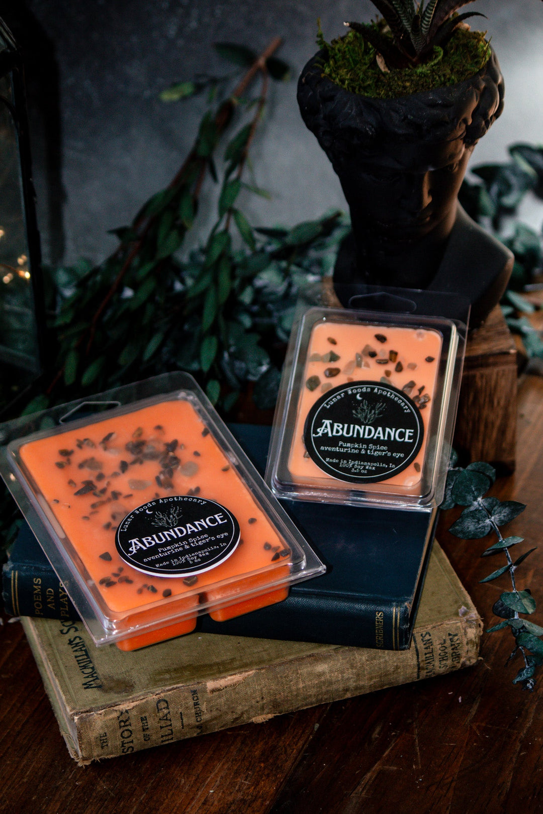 Abundance Wax Melts