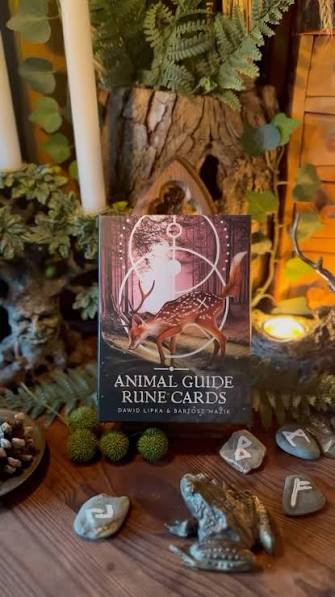 Animal Guide Rune Cards