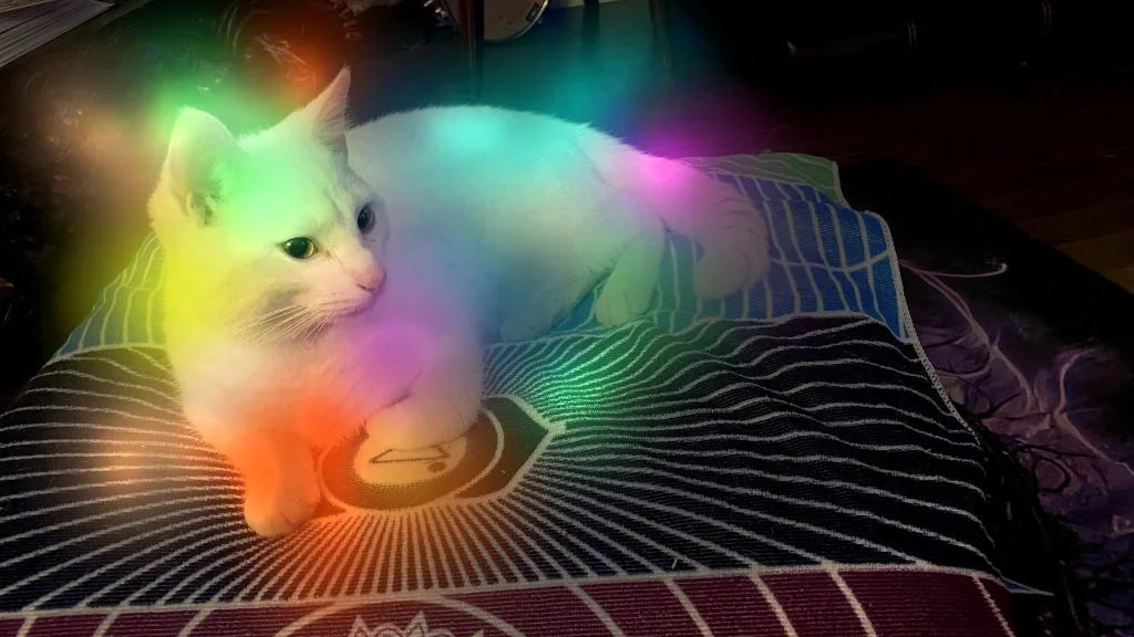 Aura Photos For Cats Sedona Arizona | Green Witch Creations