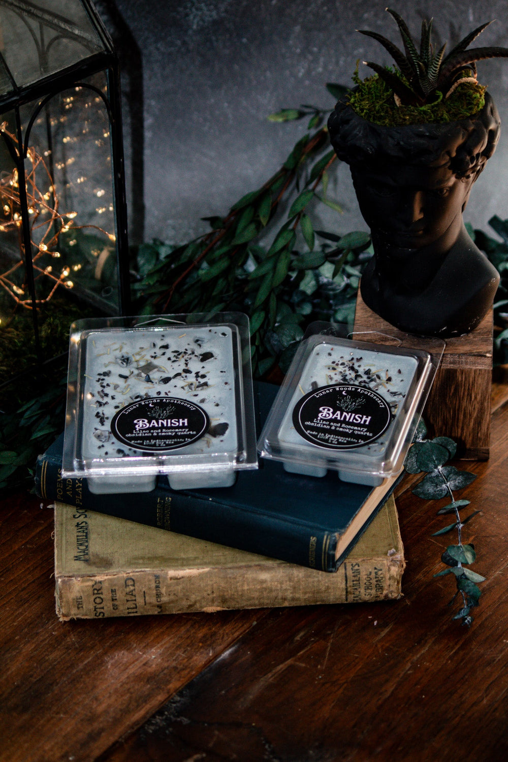 Banish Wax Melts