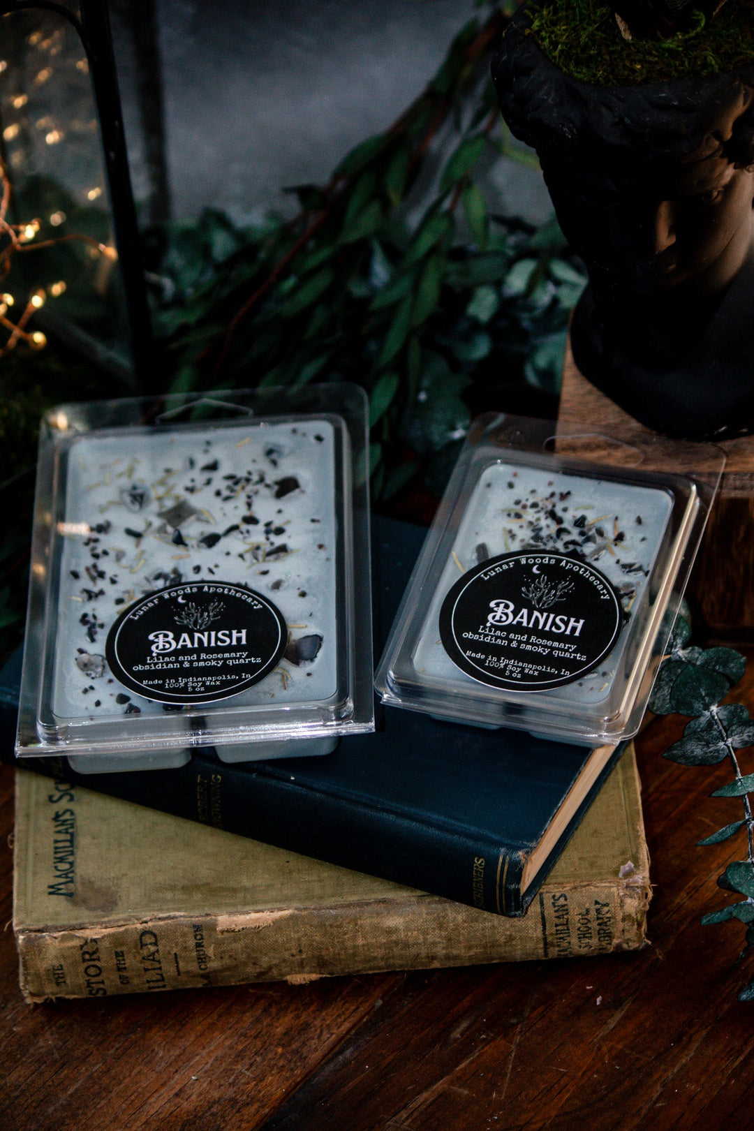 Banish Witchy Wax Melts