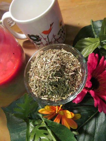 Blue Vervain