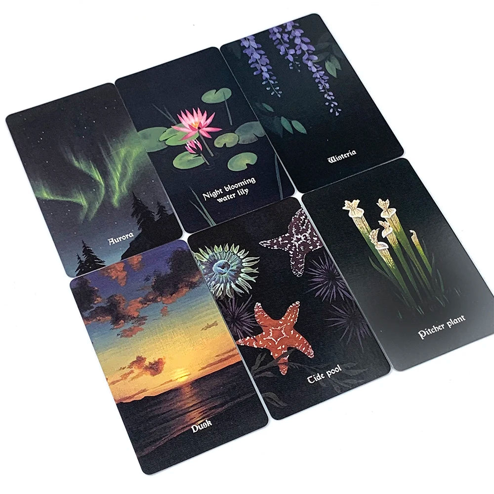 Buy Nocturna Oracle Cards