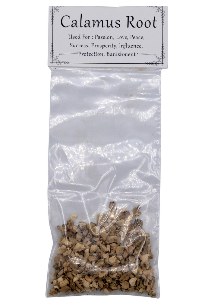 Calamus Root For Spells & Rituals