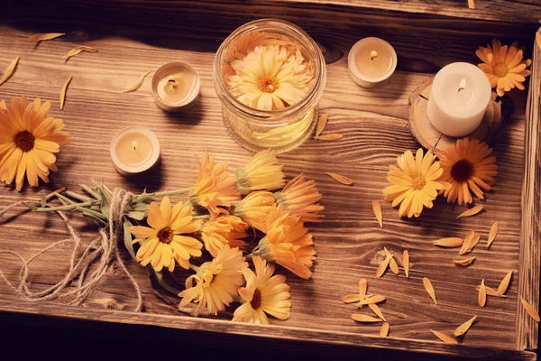 Calendula For Witchcraft