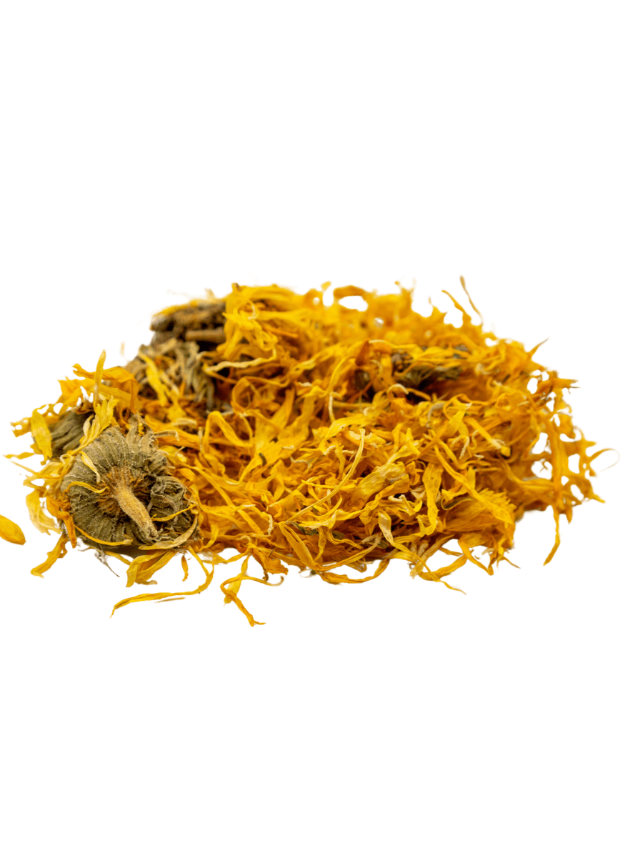 Calendula Marigold For Spell Casting