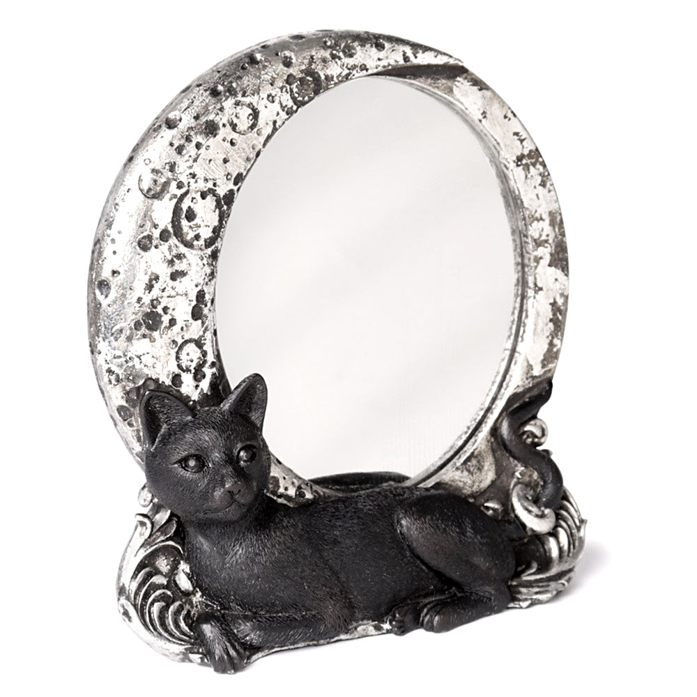 Cat Mirror