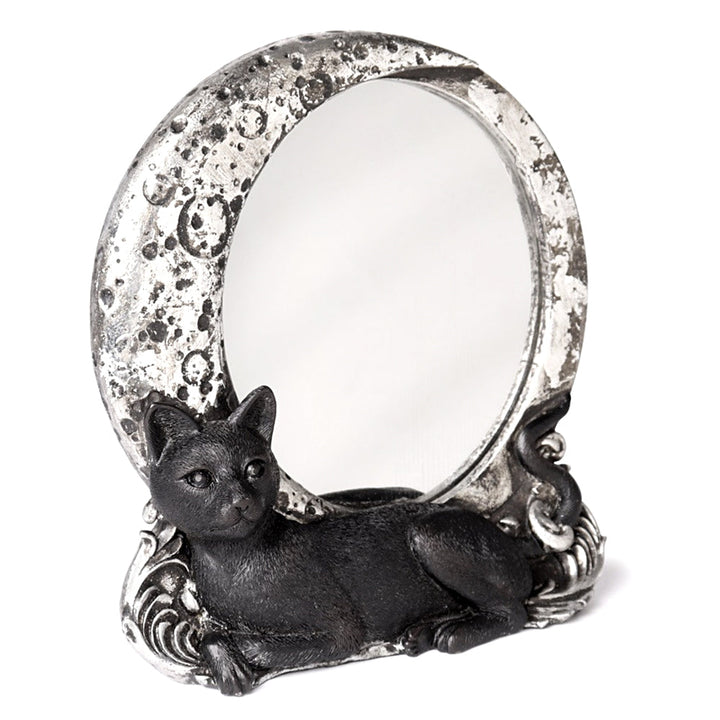 Cat Mirror