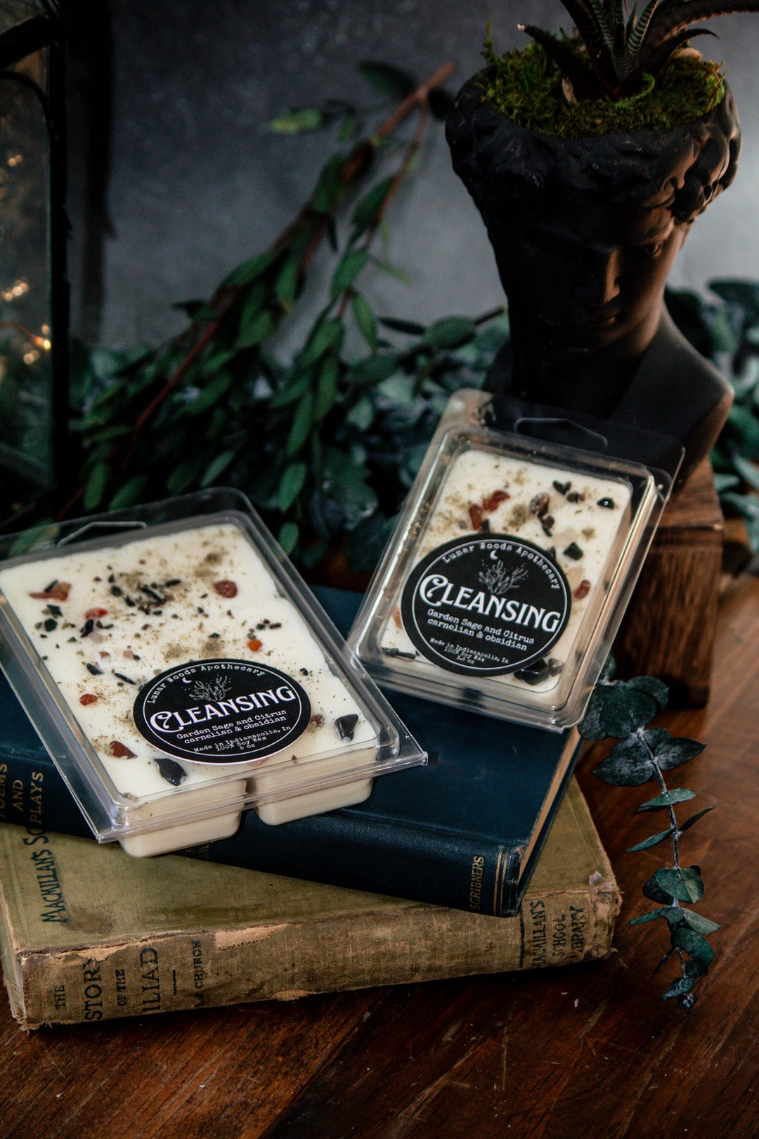 Cleansing Wax Melts