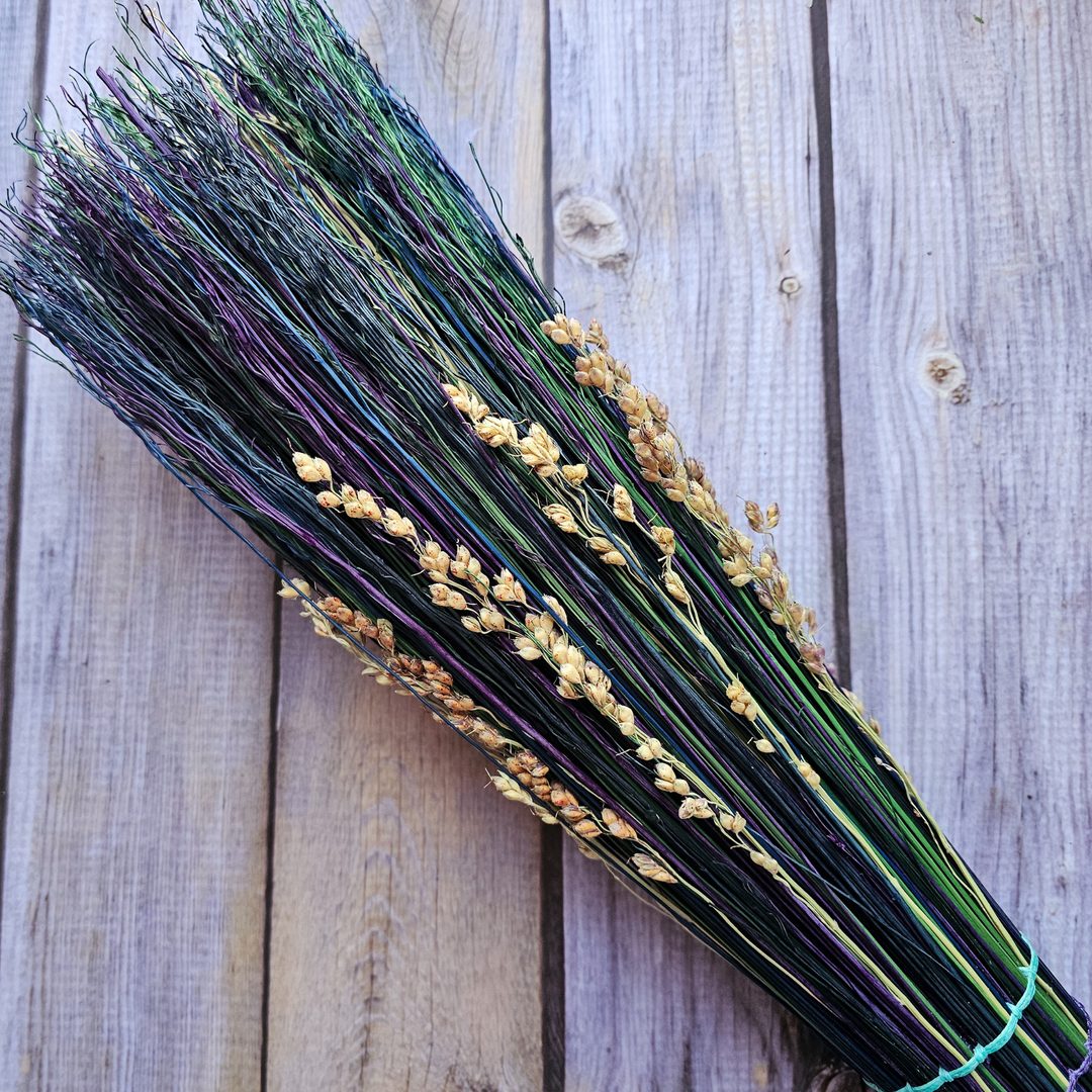 Colorful Witch Broom