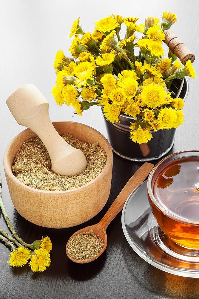 Coltsfoot Leaf Tea
