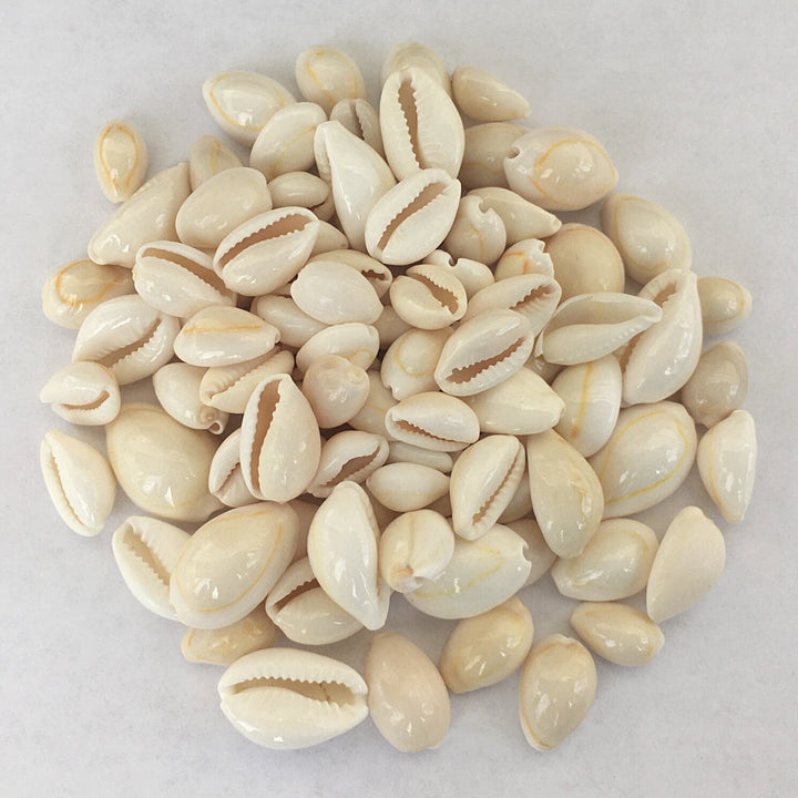 Cowrie Shells For Witchcraft