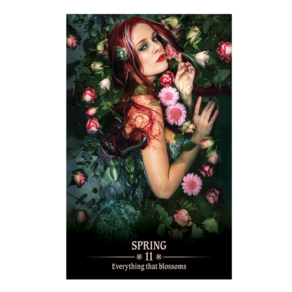 Dark Light Oracle Spring
