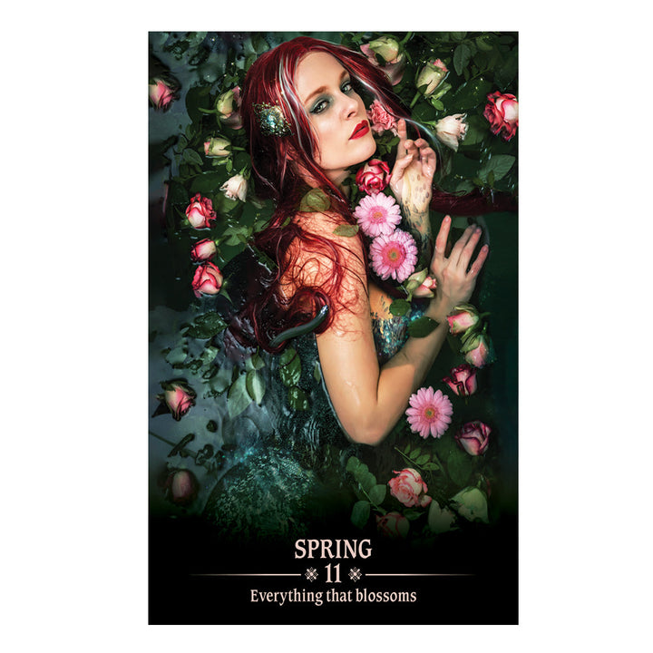 Dark Light Oracle Spring