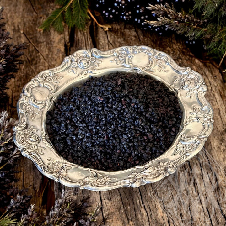 Elderberry For Witchcraft, Rituals, & Spells