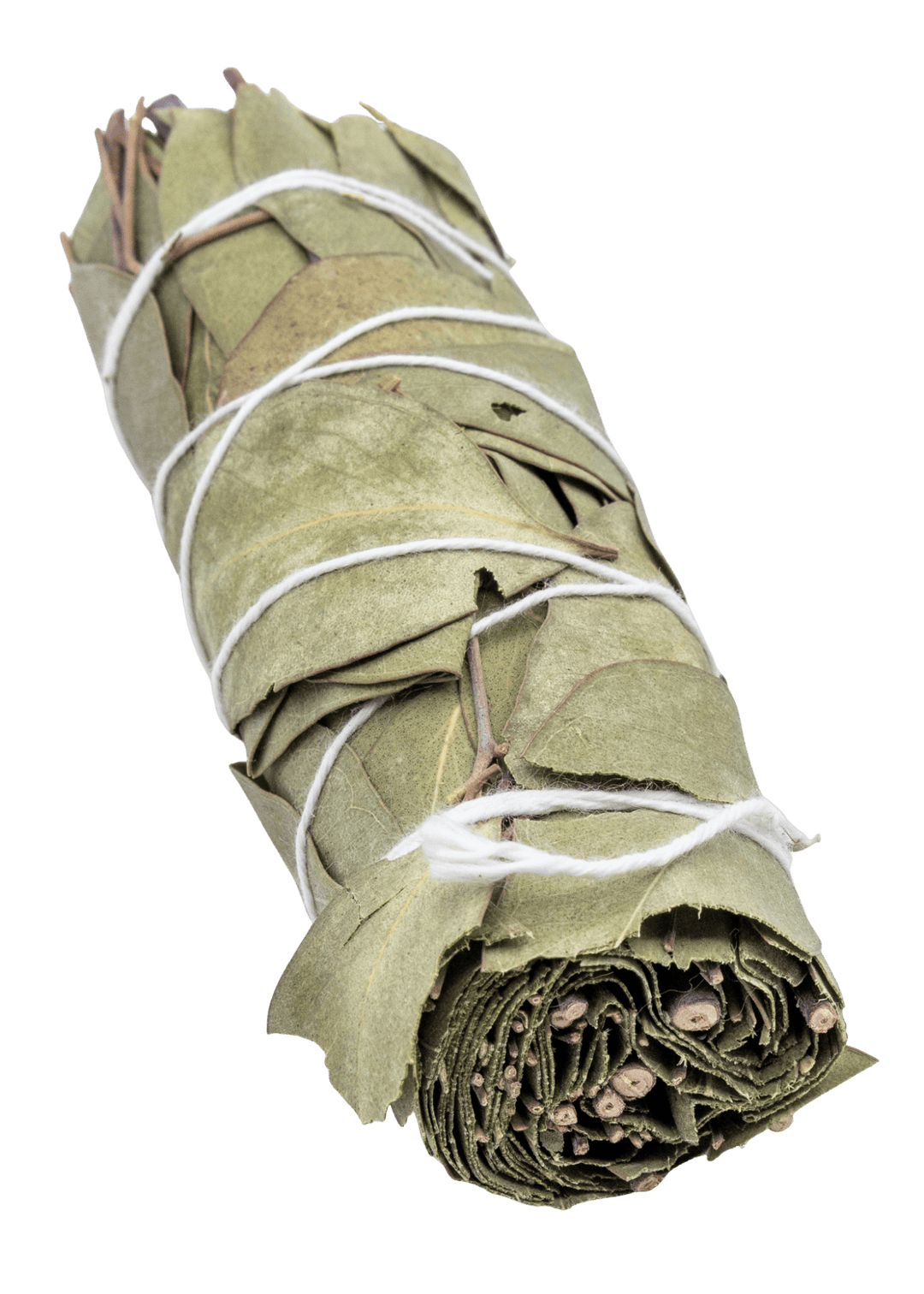 Eucalyptus For Smudging