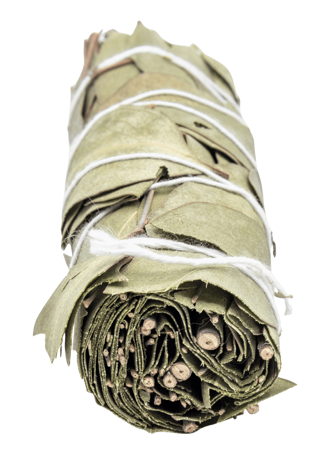Eucalyptus For Smudging Witchcraft