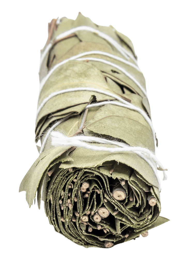 Eucalyptus For Smudging Witchcraft