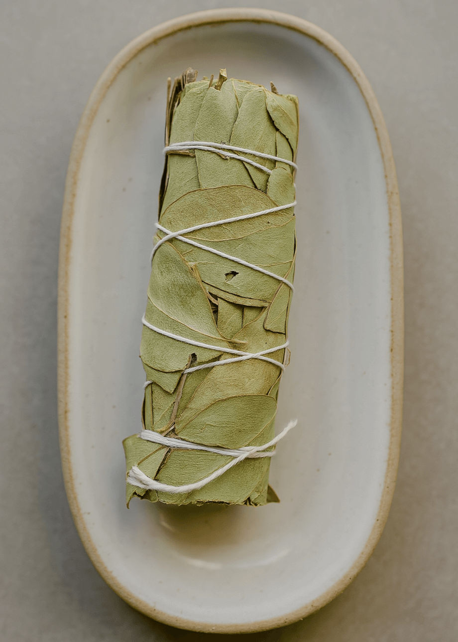 Eucalyptus Smudge Stick