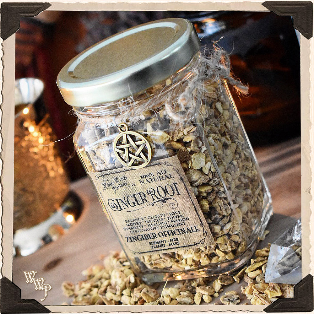 Ginger Root (Grounding & Balance) | Ritual Herbs, Spell Herbs ...