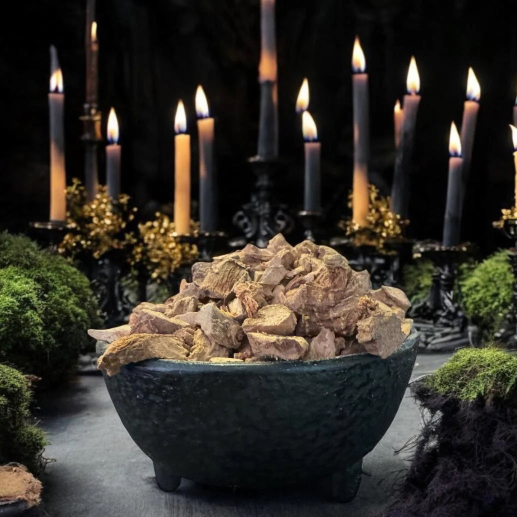 Galangal Root For Witchcraft, Rituals, & Spells