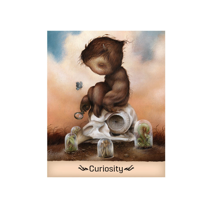 Gentle Creatures Wisdom Curiosity