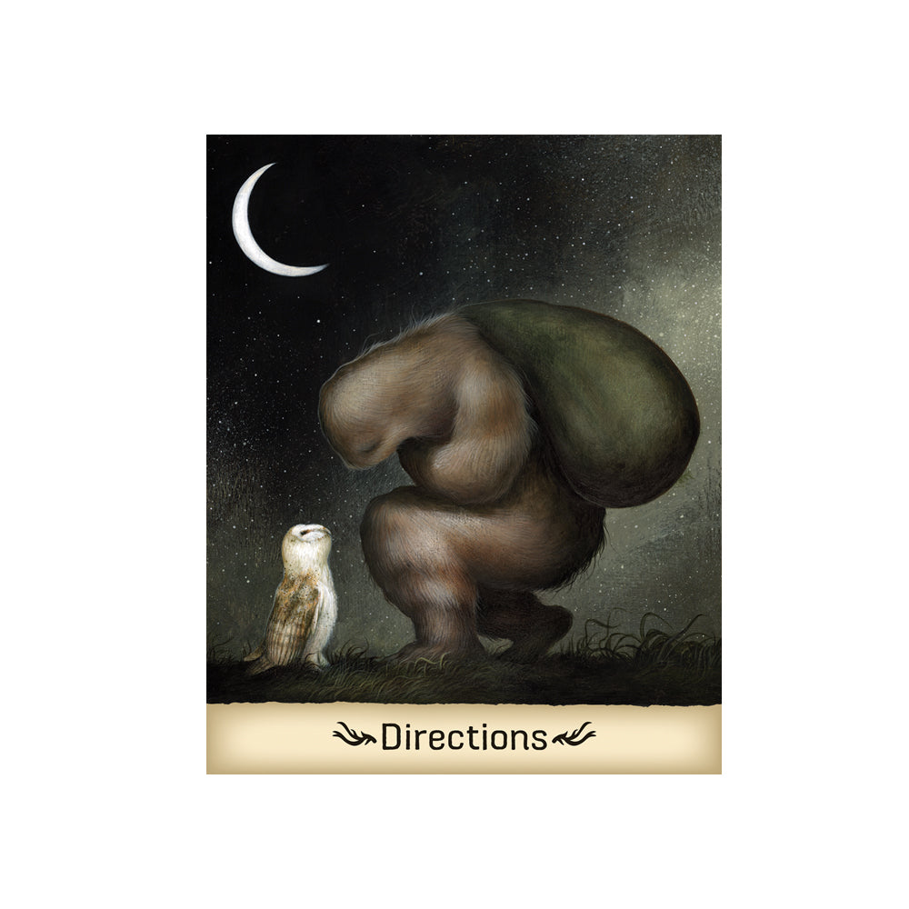 Gentle Creatures Wisdom Directions