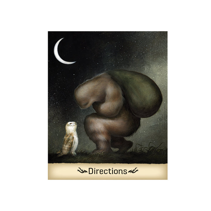 Gentle Creatures Wisdom Directions