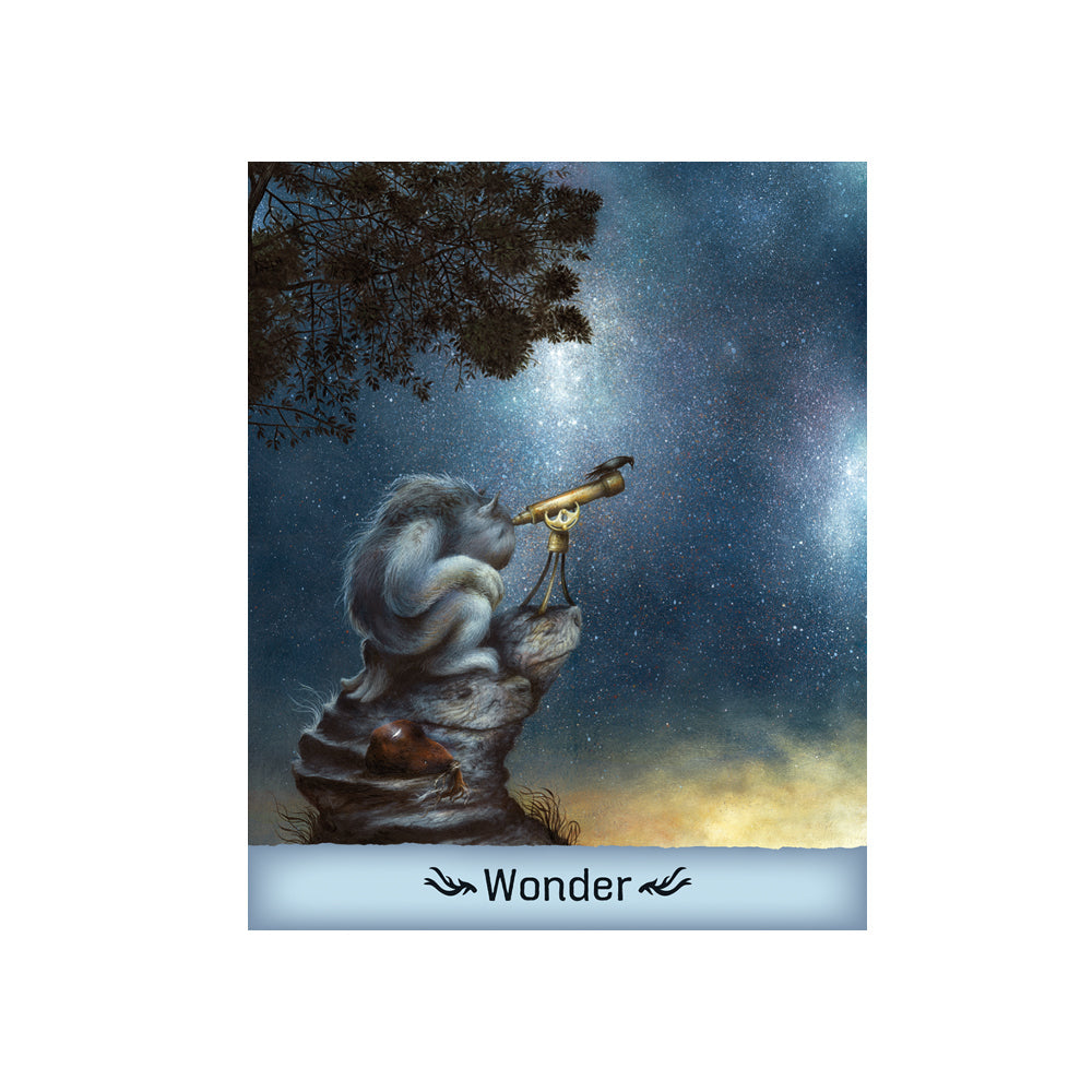 Gentle Creatures Wisdom Wonder
