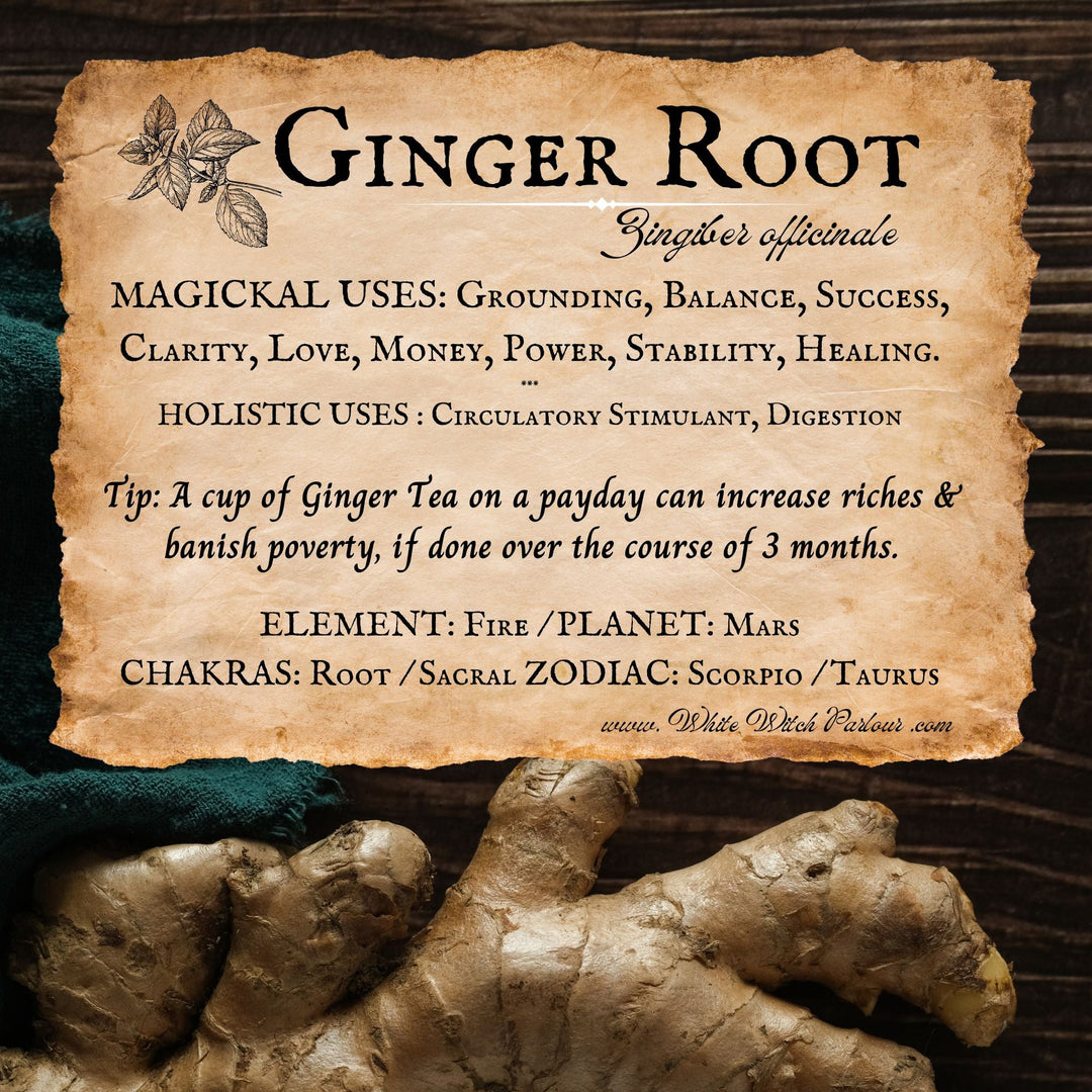 Ginger Root (Grounding & Balance)