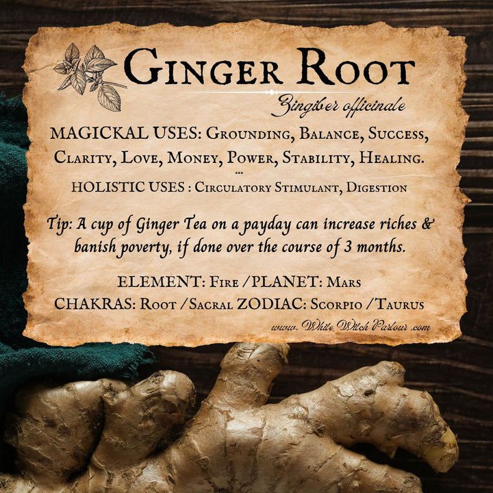 Ginger Root (Grounding & Balance)