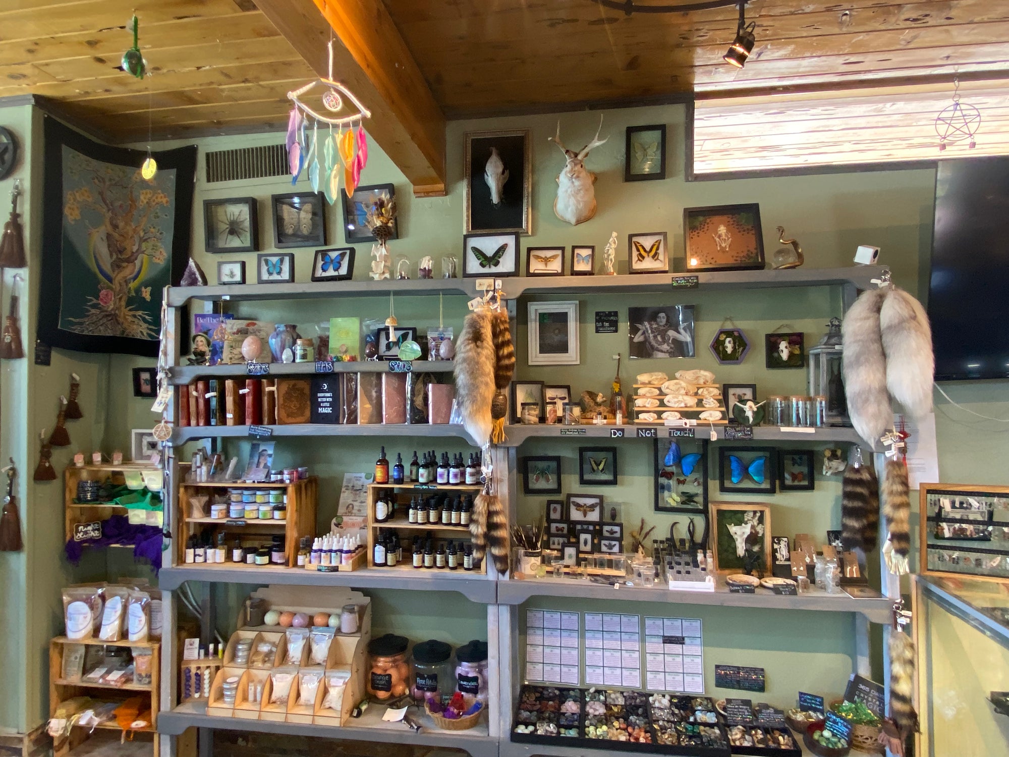 Oddities, Curiosities, Journals, Herbal Remedies, Artwork, Crystals, & Organic Bath and Body Products | Green Witch Creations Sedona Arizona