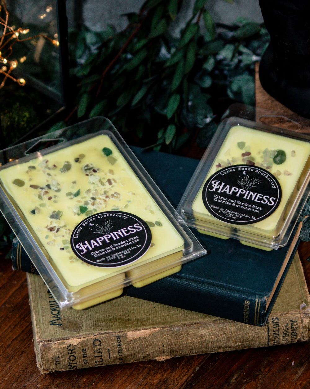 Happiness Witchy Wax Melts