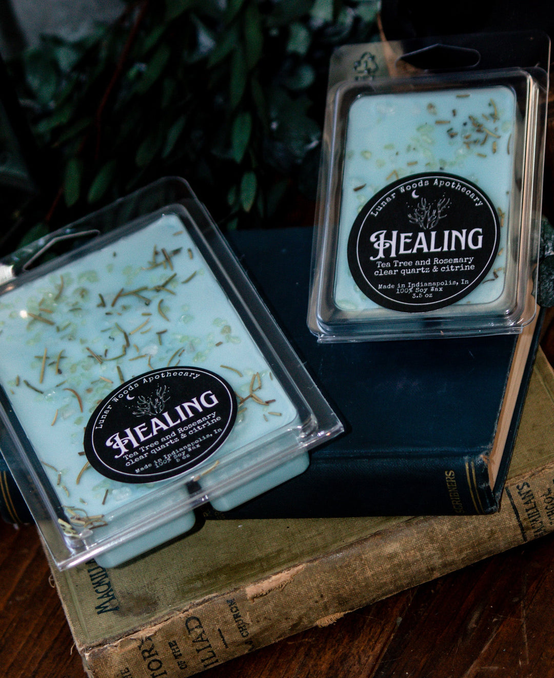 Healing Wax Melts