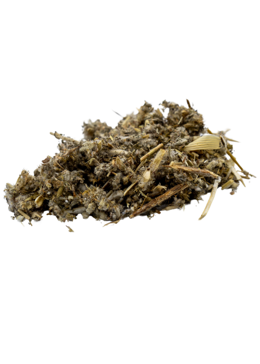 Horehound