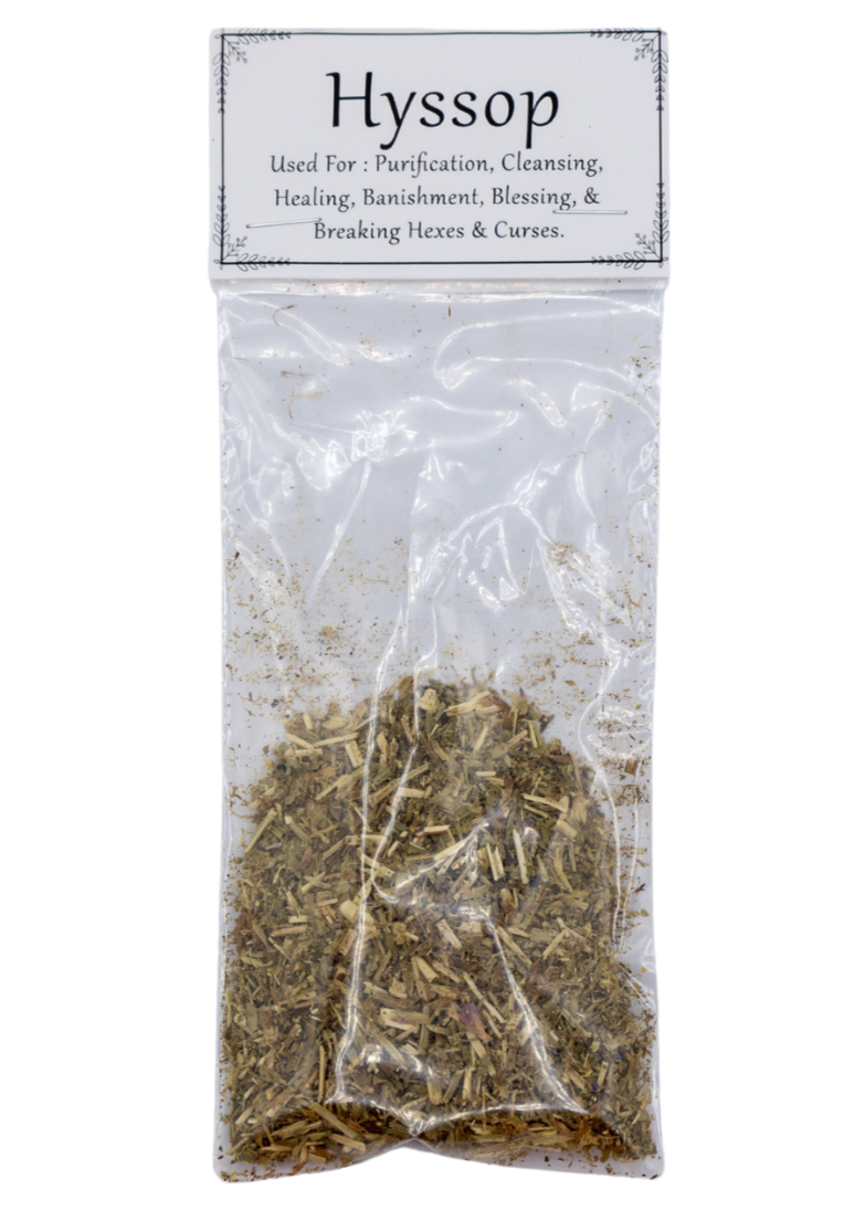 Hyssop For Spells & Rituals