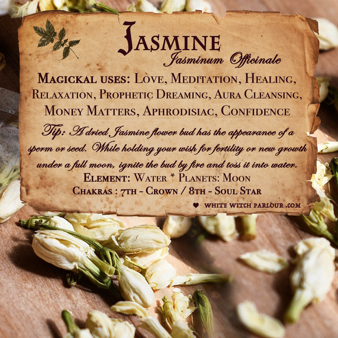 Jasmine Flowers For Witchcraft