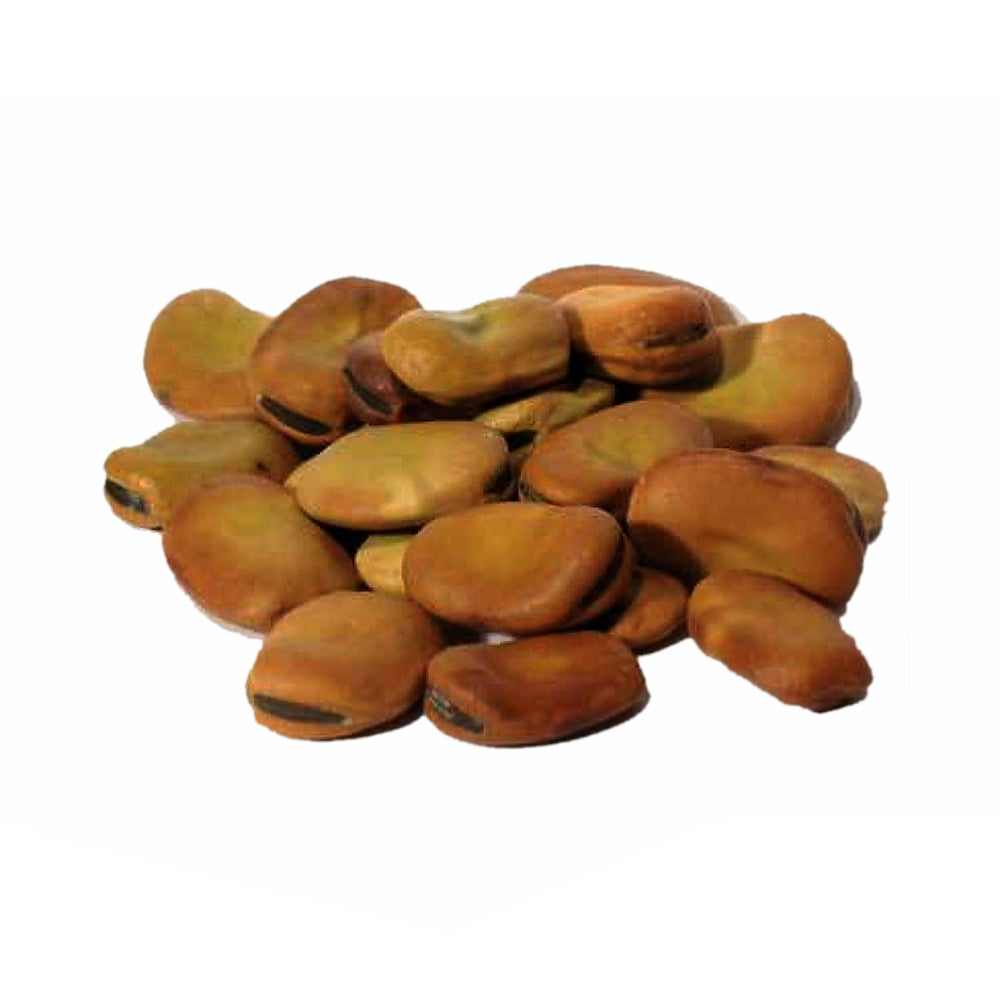 Mojo Wish Beans For Witchcraft