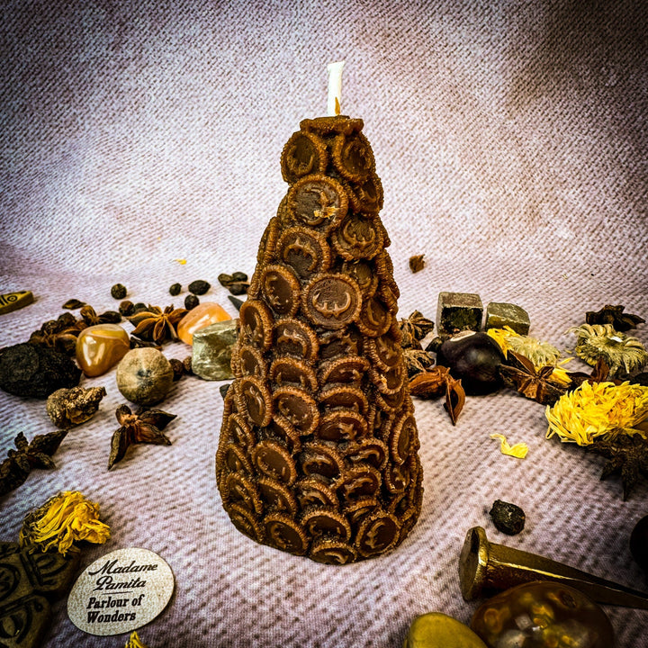 Money Coin Spell Brown Candle
