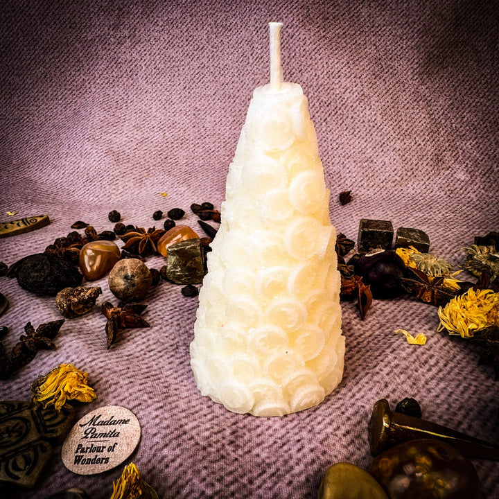 Money Coin Spell White Candle