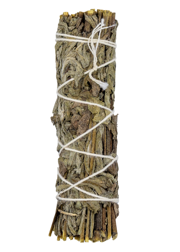Mugwort