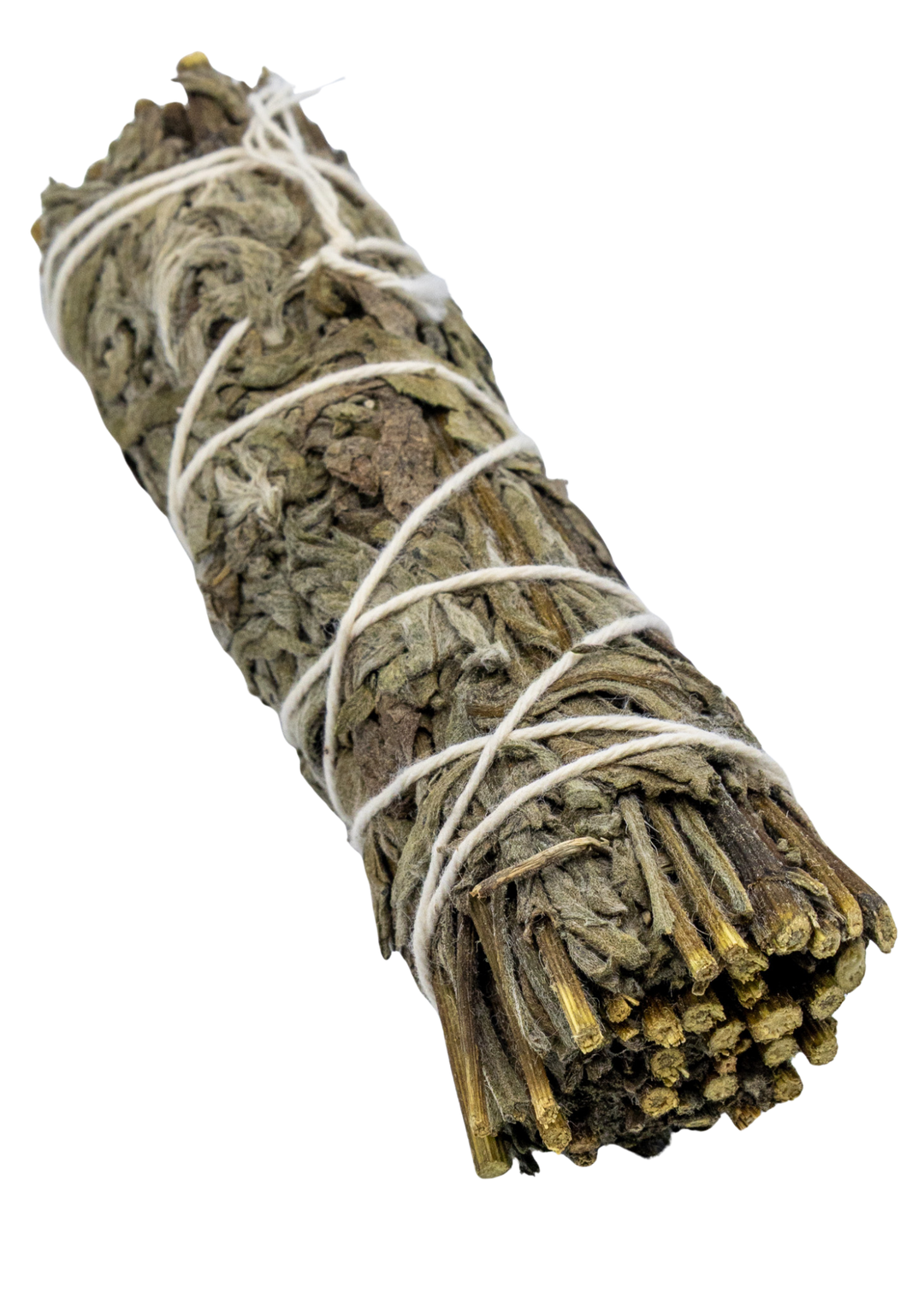 Mugwort For Witchcraft