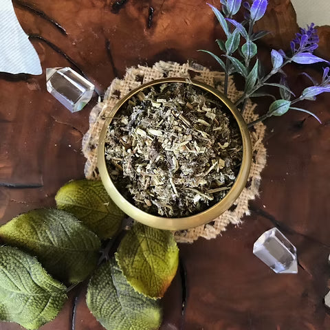 Mugwort For Witchcraft, Spells, & Rituals