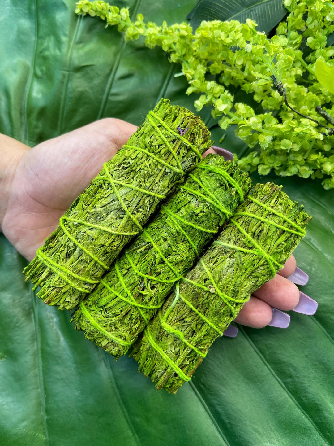 Patchouli & Sage Smudge Bundle