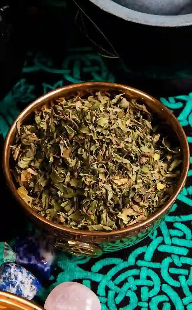 Peppermint For Witchcraft, Spells, & Rituals