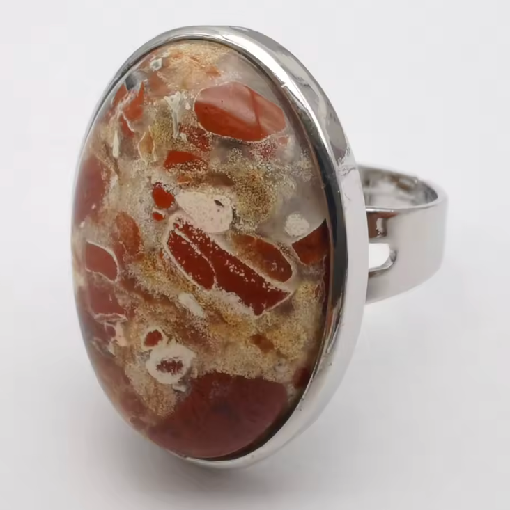 Petrified Wood Oval Ring
