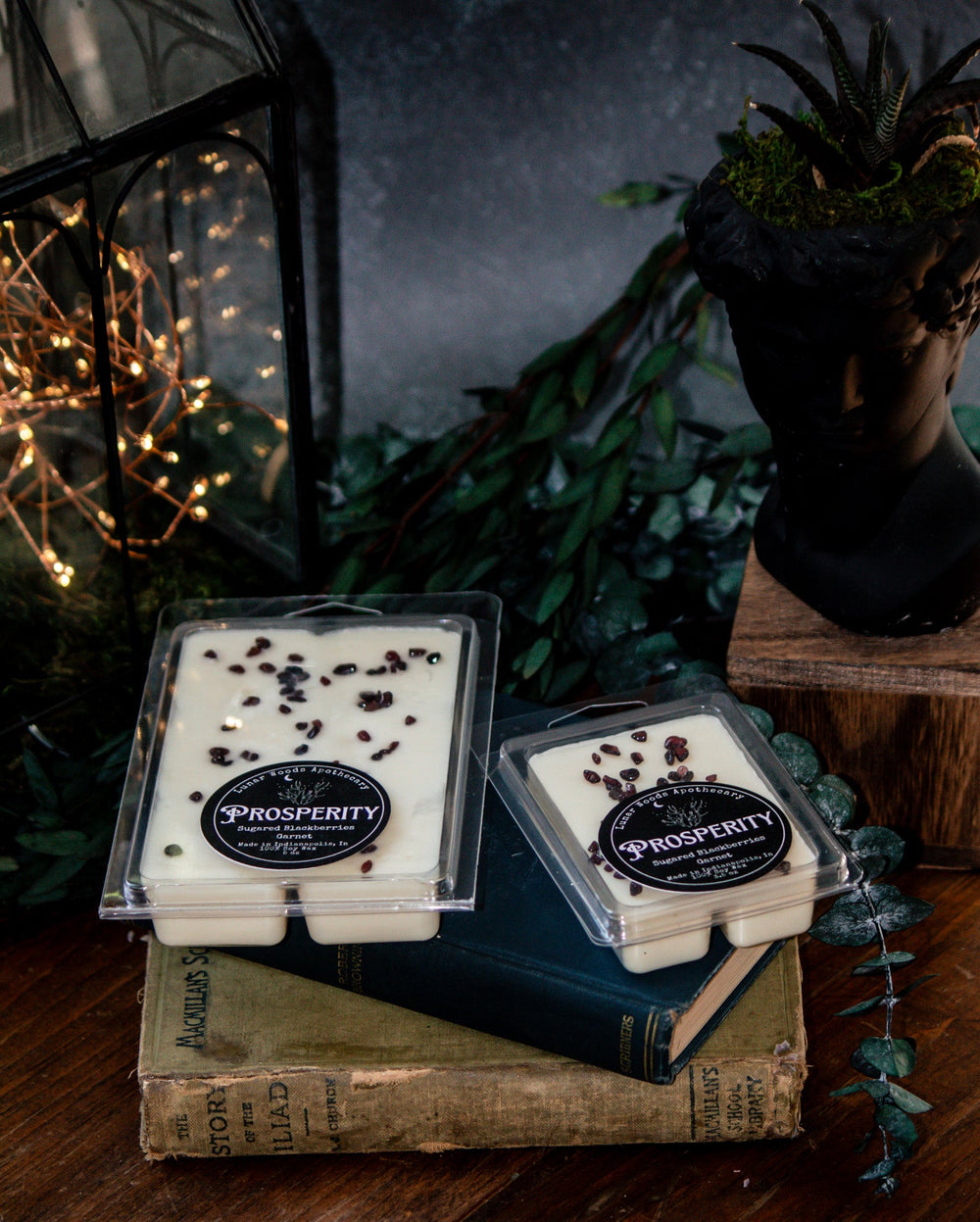 Prosperity Witchy Wax Melts