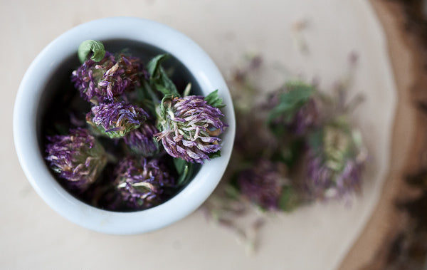 Red Clover For Witchcraft, Rituals, & Spells